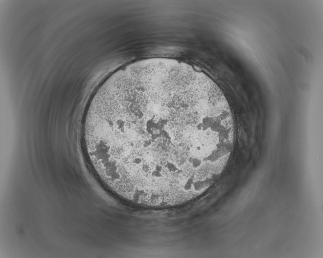 X0000113780049200910211214