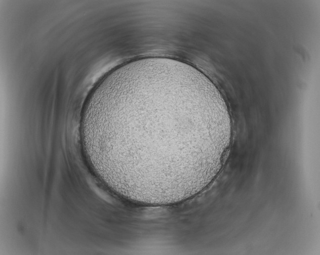 X0000113780050200910211214