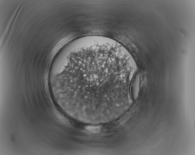 X0000113780051200910211214