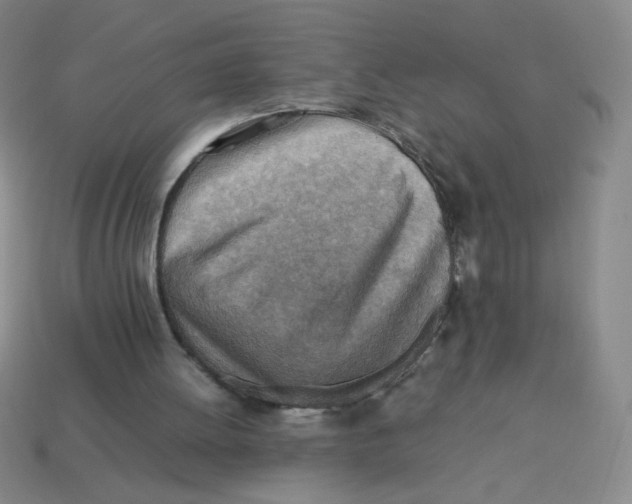 X0000113780052200910211214