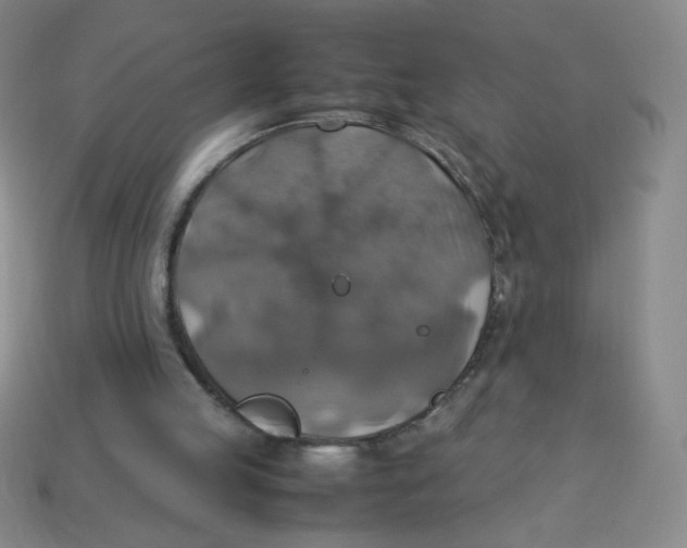 X0000113780053200910211214