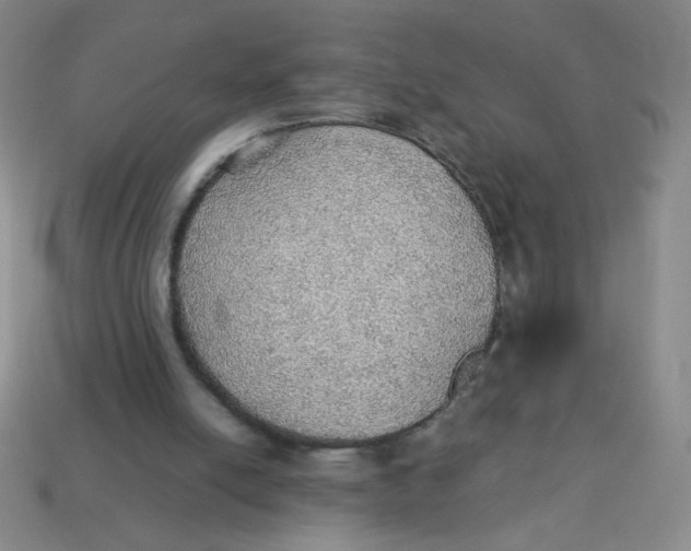 X0000113780054200910211214
