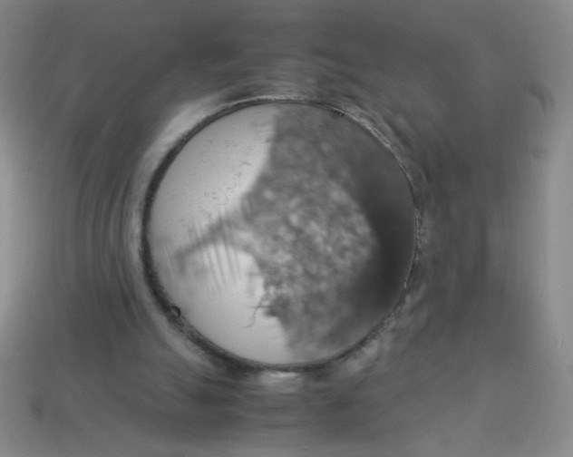 X0000113780055200910211214