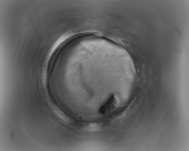 X0000113780056200910211214
