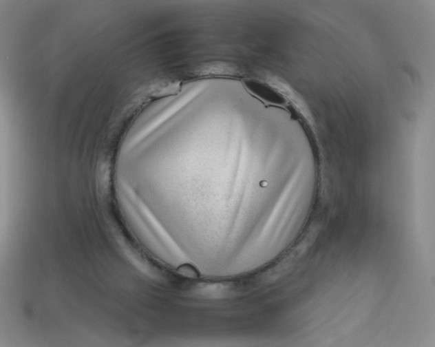 X0000113780057200910211214