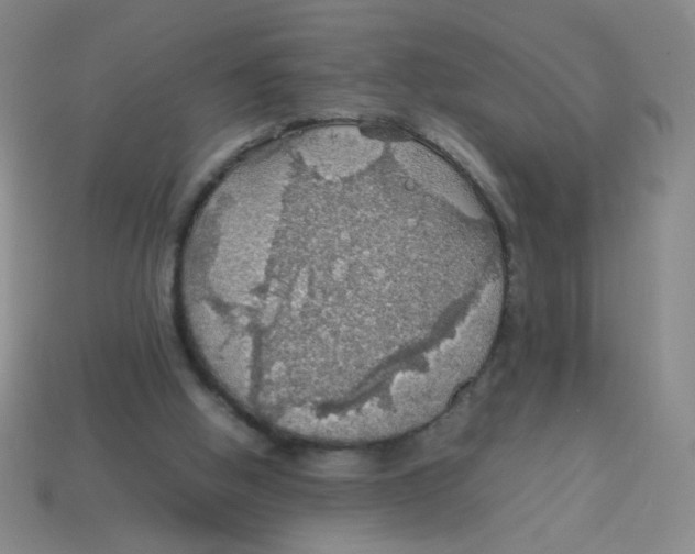 X0000113780058200910211214