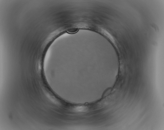 X0000113780059200910211214