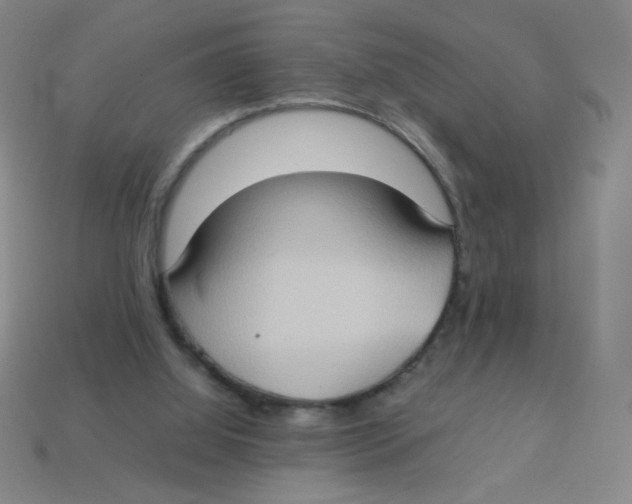 X0000113780060200910211214