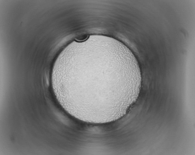 X0000113780062200910211214
