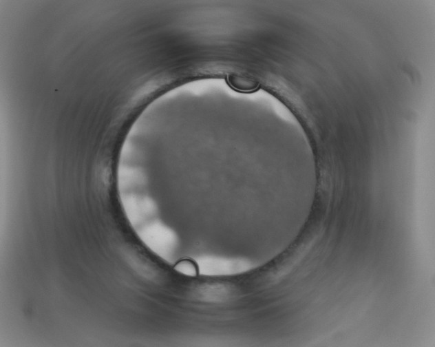 X0000113780063200910211214