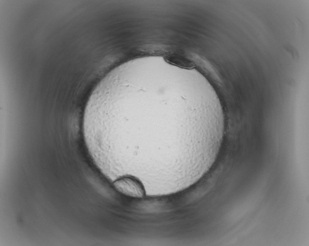 X0000113780065200910211214