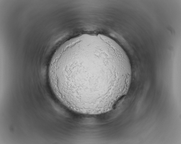 X0000113780066200910211214