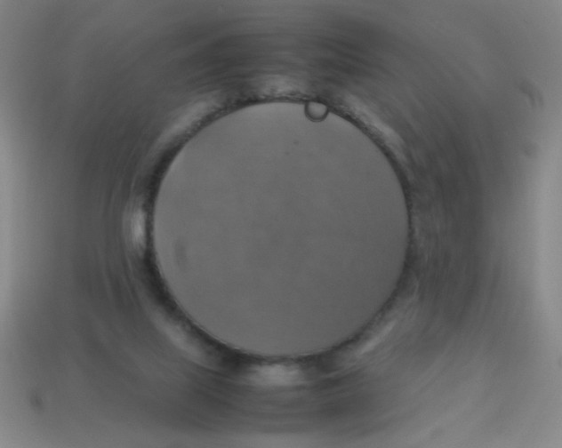 X0000113780067200910211214