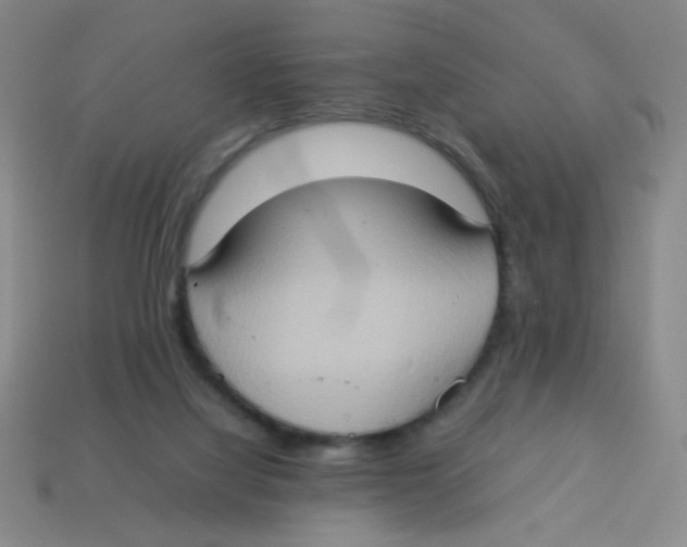 X0000113780068200910211214