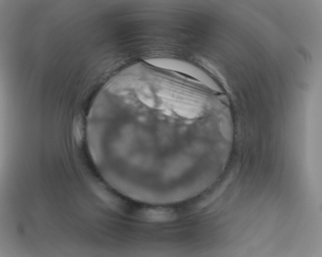 X0000113780069200910211214