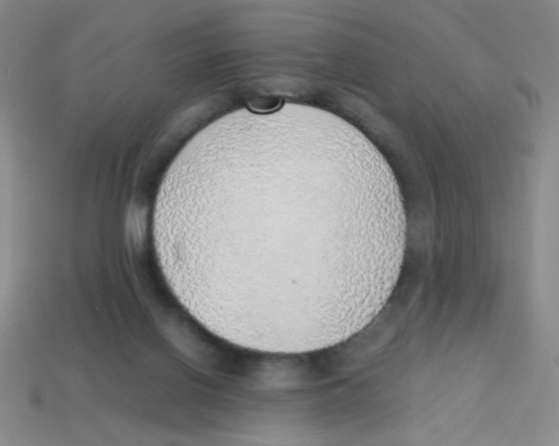 X0000113780070200910211214