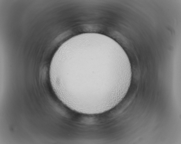 X0000113780071200910211214