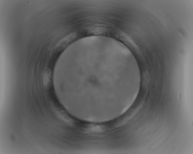 X0000113780073200910211214