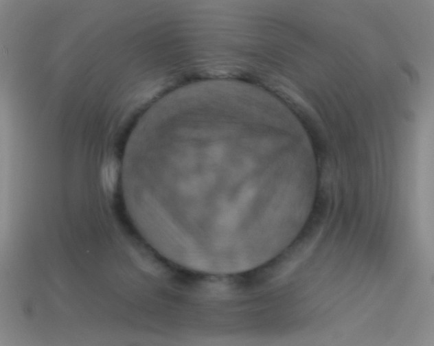 X0000113780076200910211215