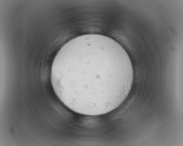 X0000113780077200910211215