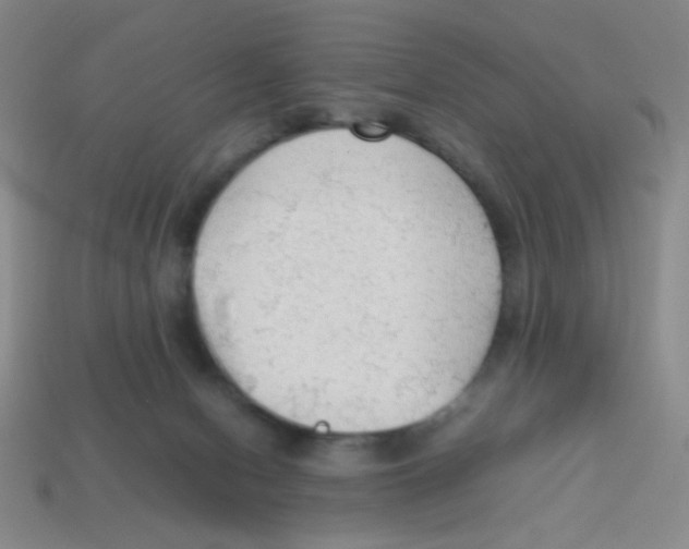 X0000113780078200910211215