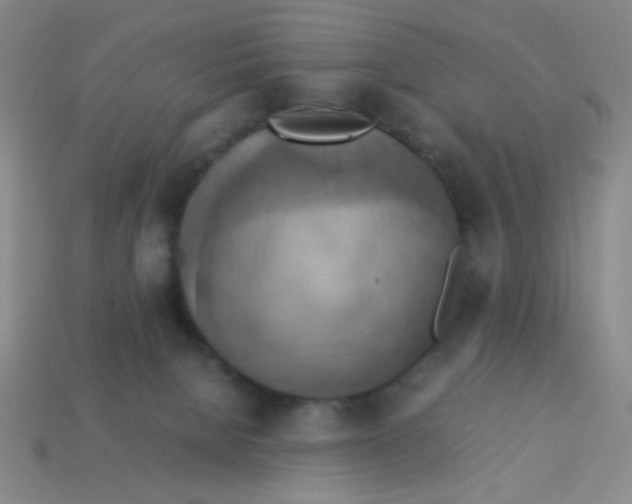X0000113780080200910211215