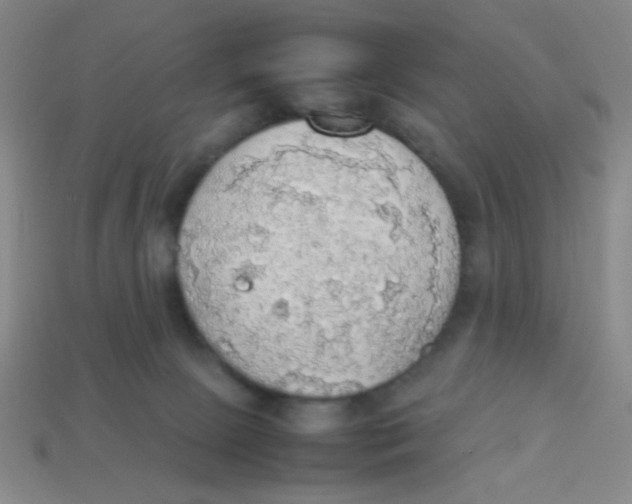X0000113780081200910211215