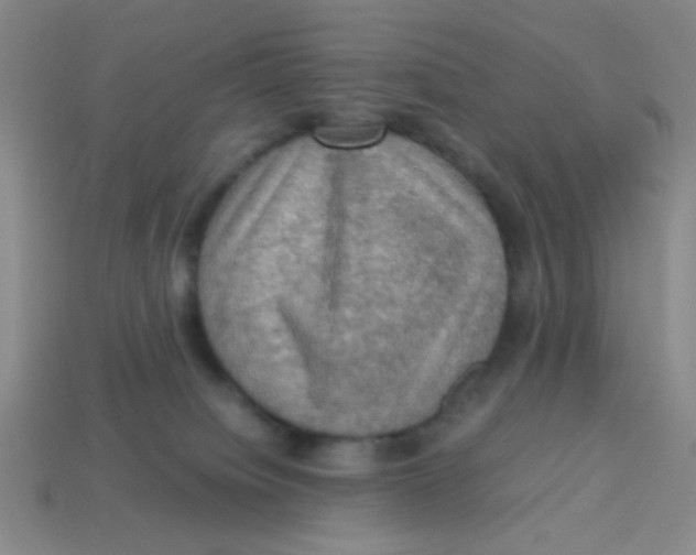 X0000113780084200910211215