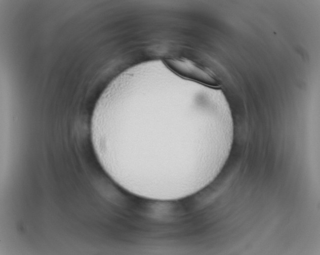 X0000113780085200910211215