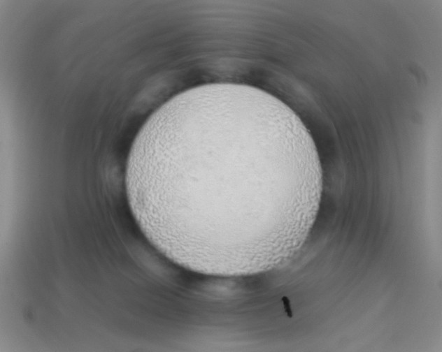 X0000113780086200910211215