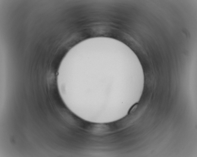 X0000113780087200910211215