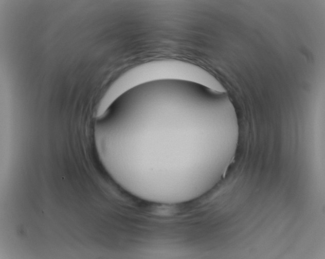 X0000113780088200910211215