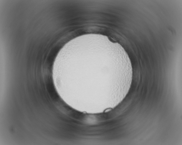 X0000113780091200910211215