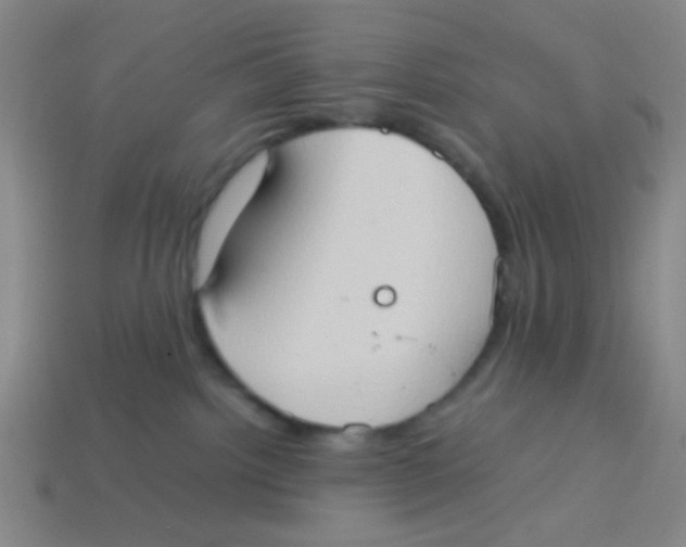 X0000113780092200910211215