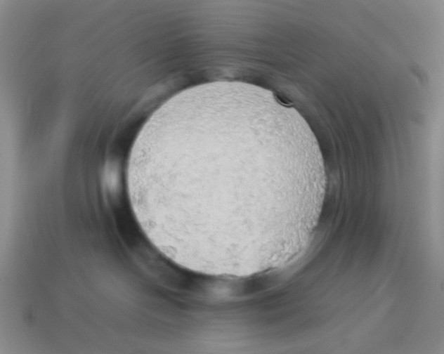 X0000113780094200910211215