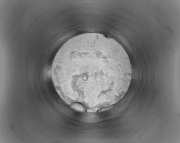 X0000113780095200910211215