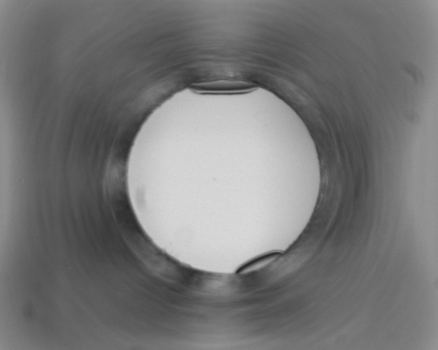 X0000113780096200910211215