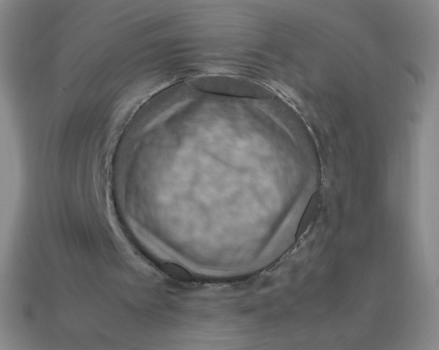 X0000113780097200910211214