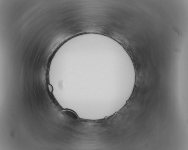 X0000113780098200910211214