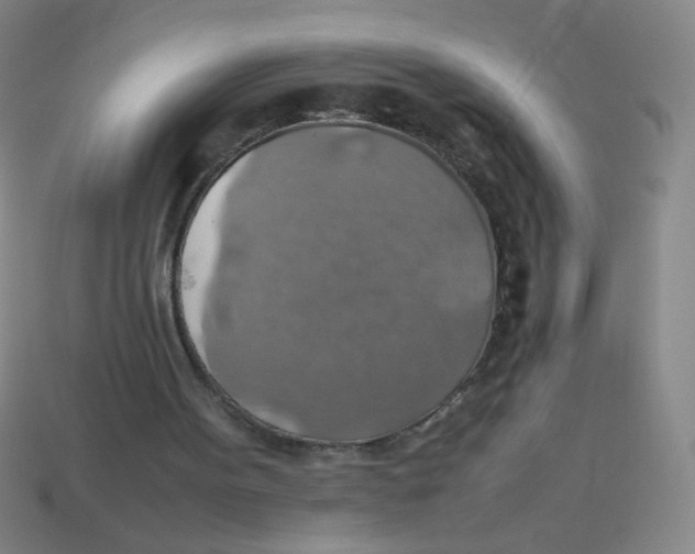 X0000113780099200910211214