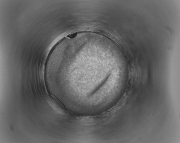 X0000113780100200910211214