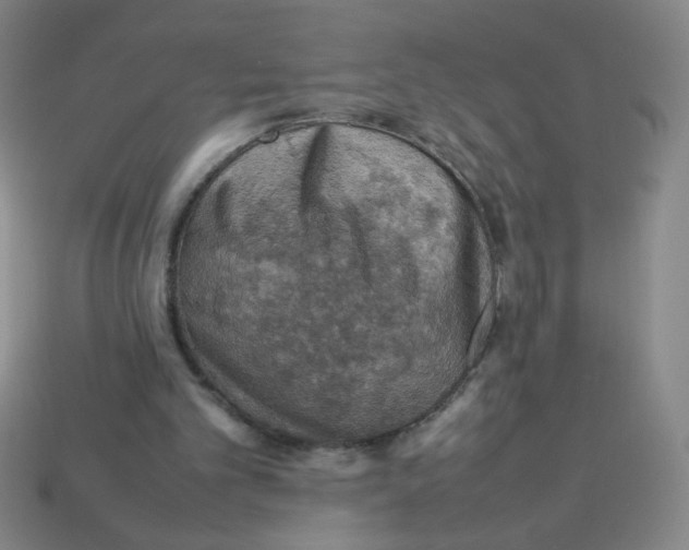 X0000113780101200910211214