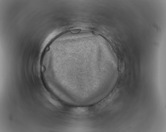 X0000113780102200910211214