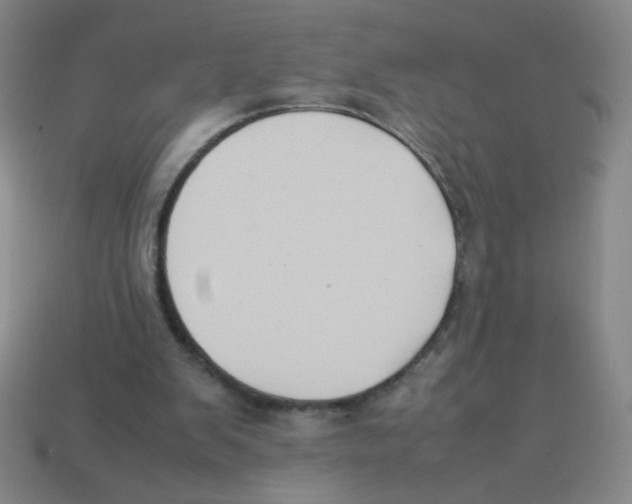 X0000113780103200910211214
