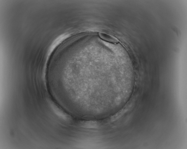 X0000113780104200910211214