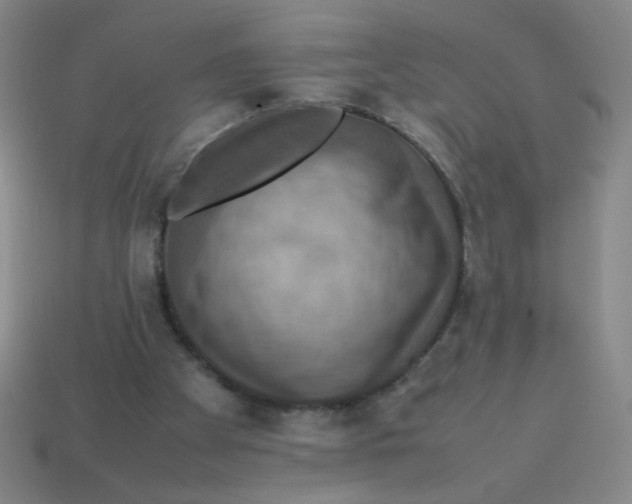 X0000113780105200910211214