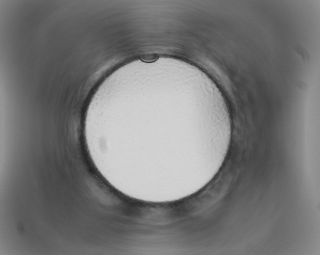 X0000113780107200910211214