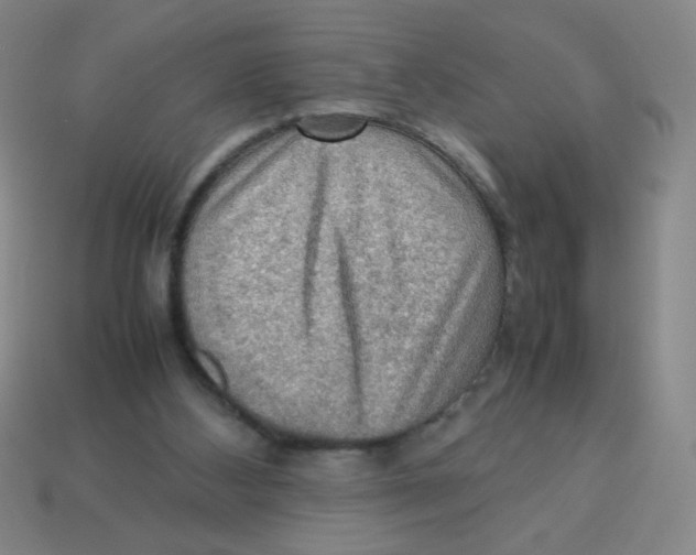 X0000113780108200910211214