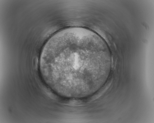 X0000113780109200910211214