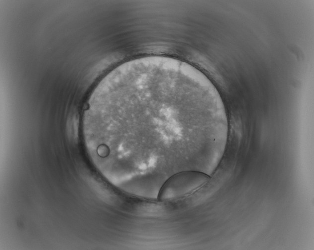 X0000113780110200910211214